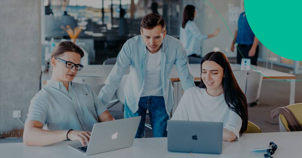 Collectia hero image