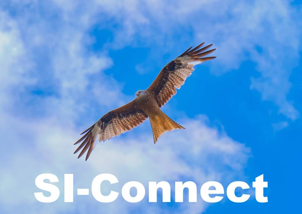 SI Inkasso Theodor Bihler GmbH hero image