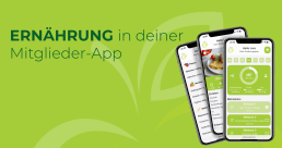 SATISFEAT hero image