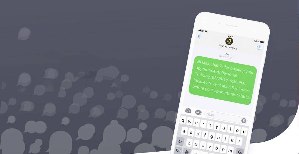 Business SMS hero image