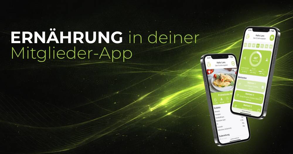 SATISFEAT hero image